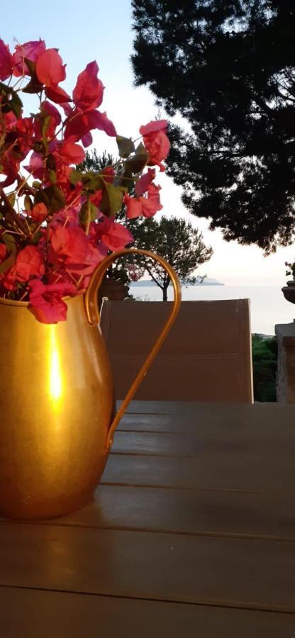 Casa "Le Terrazze" Villa Erice Dış mekan fotoğraf